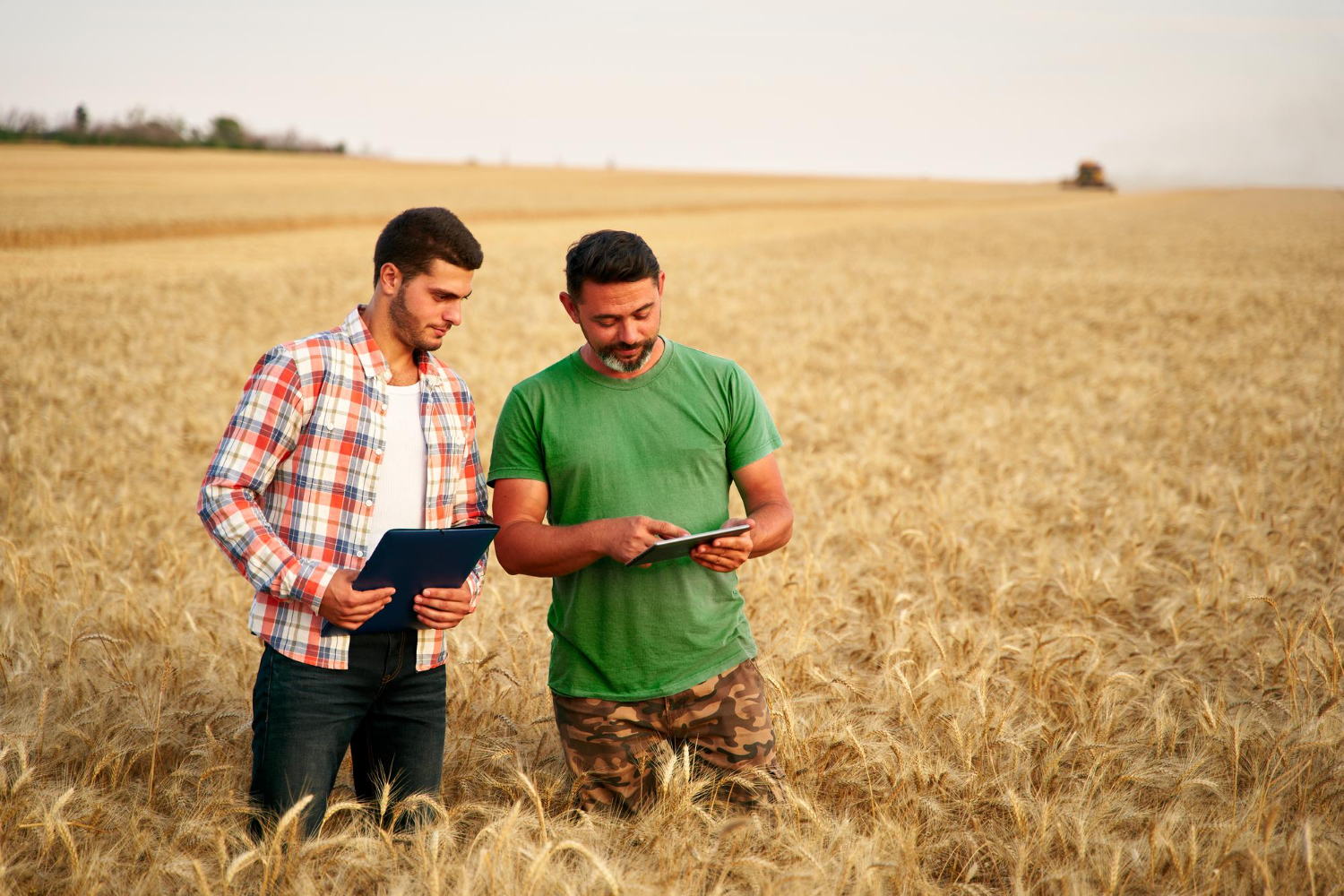agronegocio: produtores em campo